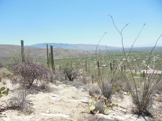 Listing photo 3 for 12161 E Coronado Rd Lot 47, Tucson AZ 85749