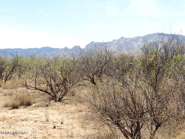 TBD W Cochise Way Unit 2, Cochise, AZ 85606