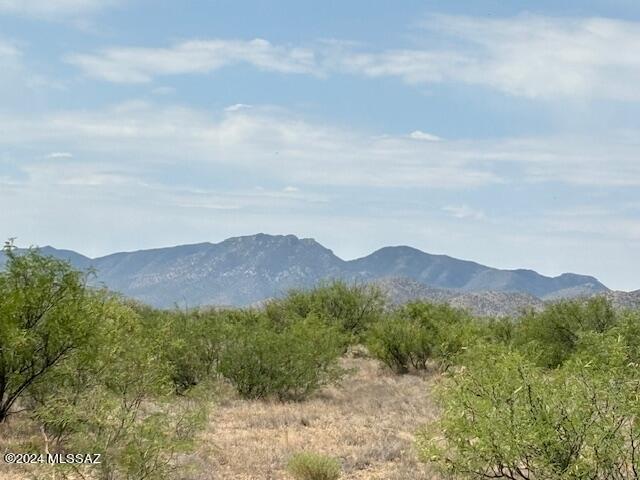 TBD W Cochise Way Unit 2, Cochise, AZ 85606