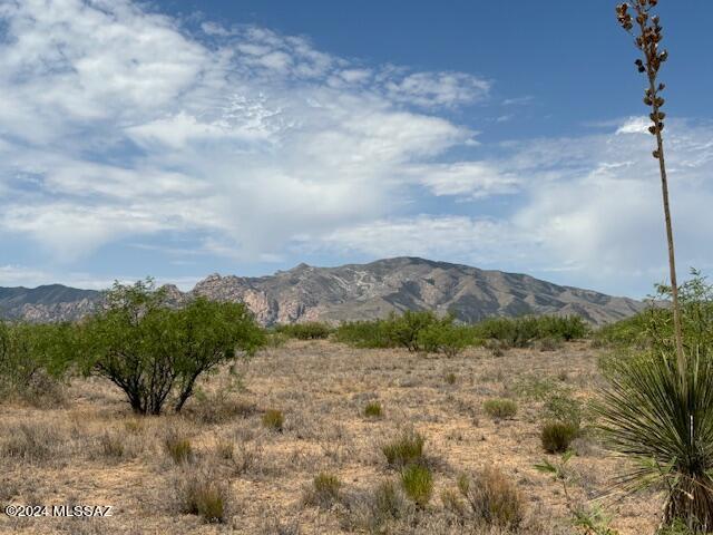 TBD W Cochise Way Unit 2, Cochise, AZ 85606