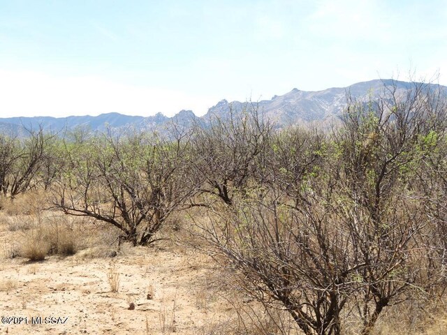 TBD W Cochise Way Unit 2, Cochise, AZ 85606