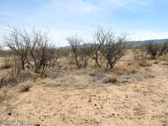 TBD W Cochise Way Unit 2, Cochise, AZ 85606