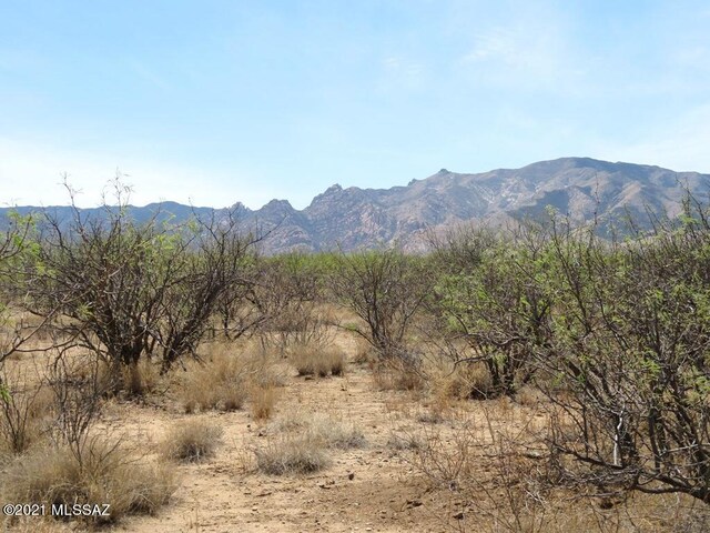 TBD W Cochise Way Unit 2, Cochise, AZ 85606