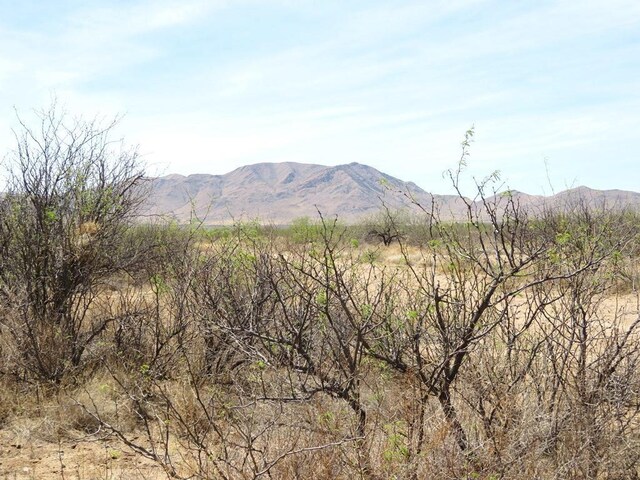TBD W Cochise Way Unit 2, Cochise, AZ 85606