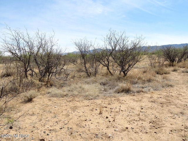 TBD W Cochise Way Unit 2, Cochise, AZ 85606