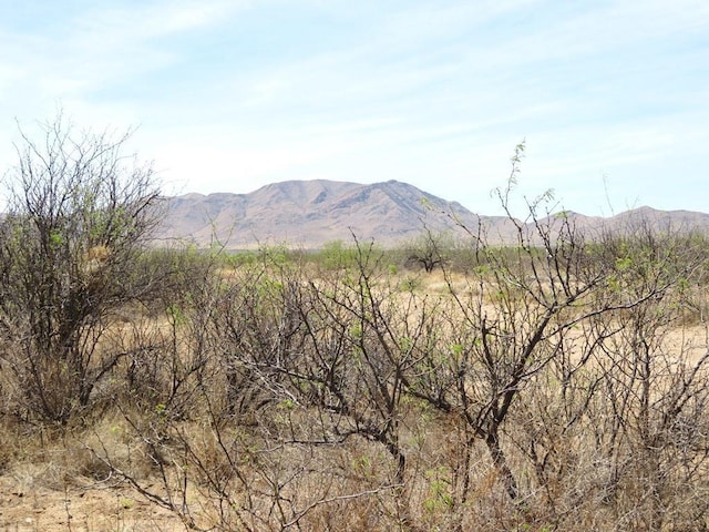 TBD W Cochise Way Unit 2, Cochise, AZ 85606