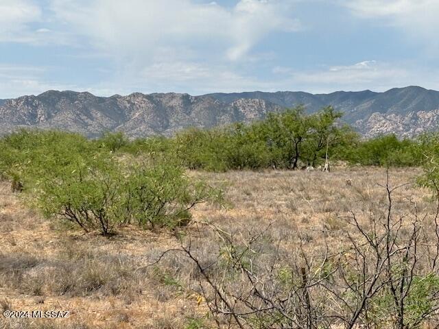 TBD W Cochise Way Unit 2, Cochise, AZ 85606