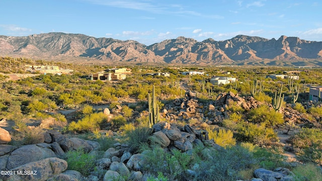 view of mountain feature