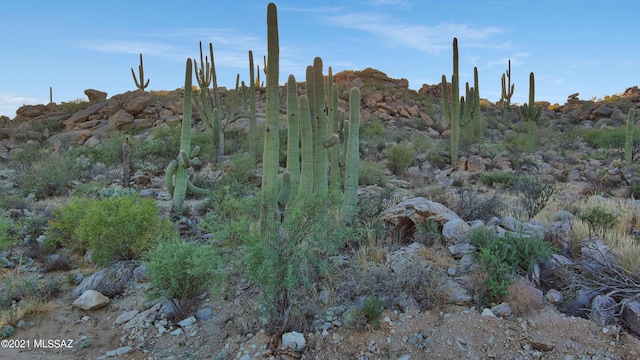 view of mountain feature