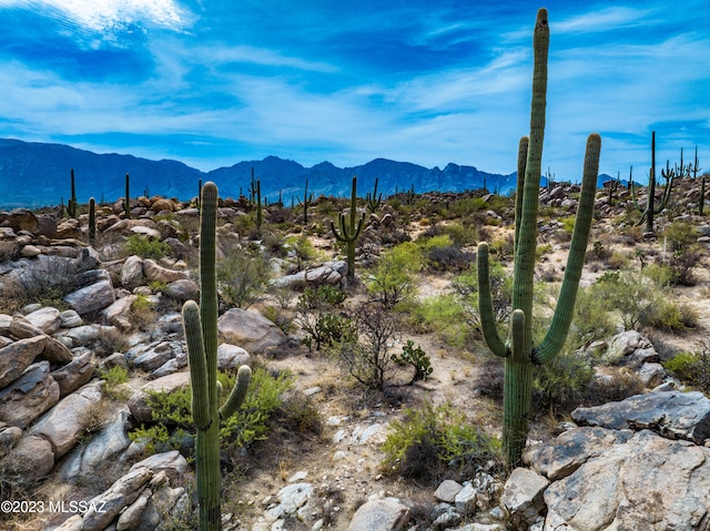 359 W Granite Gorge Dr Unit 570, Oro Valley AZ, 85755 land for sale