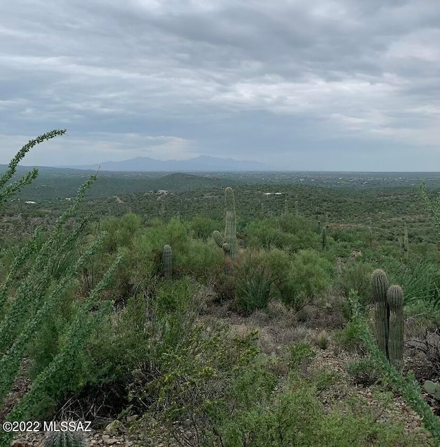 6790 S Camino Loma Alta ., Unit Tucson AZ, 85747 land for sale