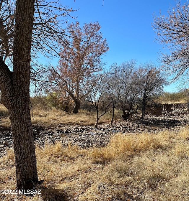 TBD Turkey Creek Rd Unit 07N, Pearce AZ, 85625 land for sale