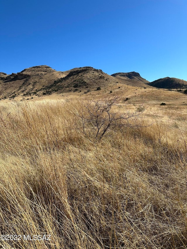 Pinery Canyon Rd, Willcox AZ, 85643 land for sale