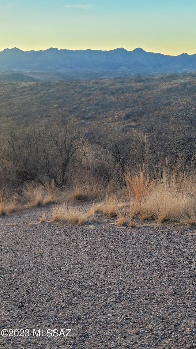 299 Circulo Cerro Unit 0, Rio Rico, AZ 85648