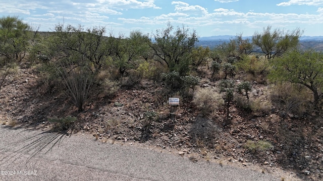 217 Vereda Cabrilla Unit 49, Rio Rico, AZ 85648
