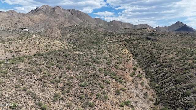 217 Vereda Cabrilla Unit 49, Rio Rico, AZ 85648