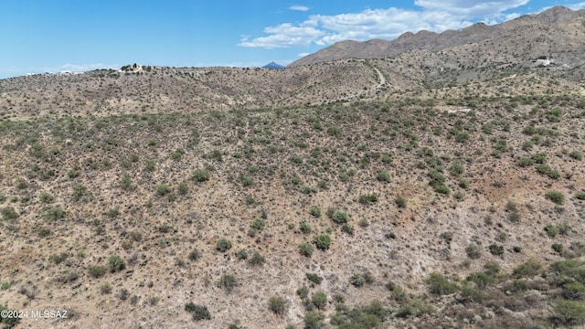 217 Vereda Cabrilla Unit 49, Rio Rico, AZ 85648