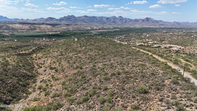 217 Vereda Cabrilla Unit 49, Rio Rico, AZ 85648