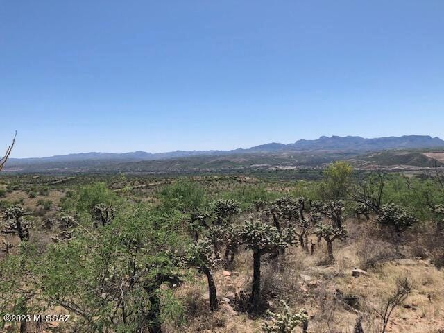 217 Vereda Cabrilla Unit 49, Rio Rico, AZ 85648