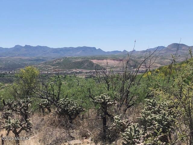 217 Vereda Cabrilla Unit 49, Rio Rico, AZ 85648