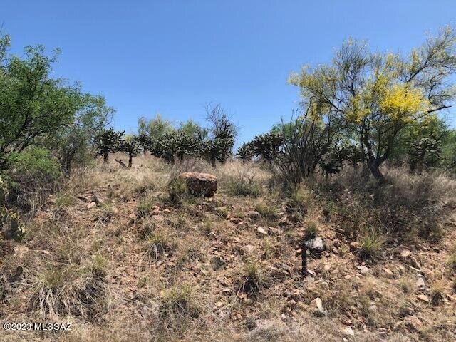 217 Vereda Cabrilla Unit 49, Rio Rico, AZ 85648