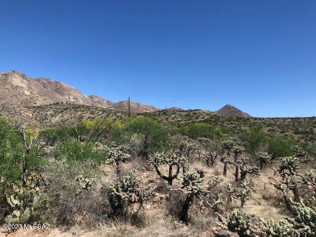 217 Vereda Cabrilla Unit 49, Rio Rico, AZ 85648