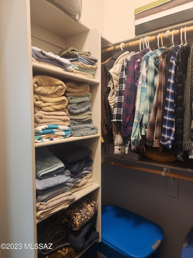 view of spacious closet