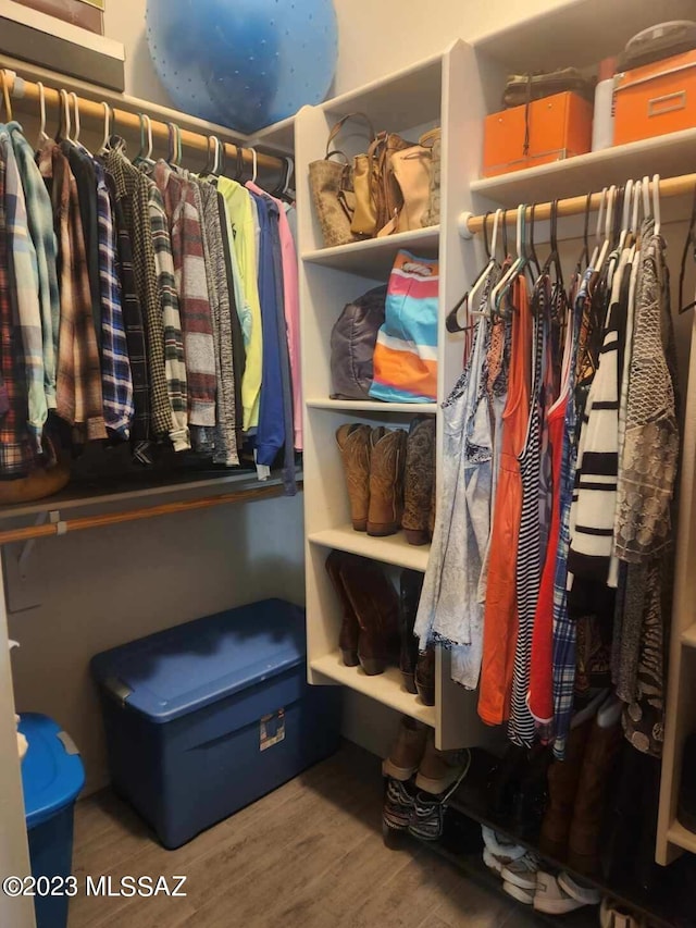 walk in closet with hardwood / wood-style floors