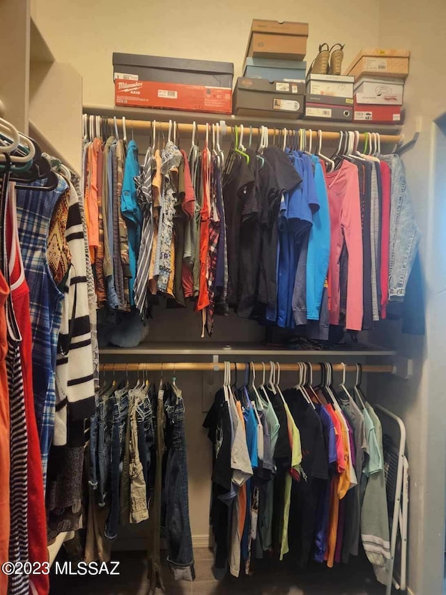 view of spacious closet