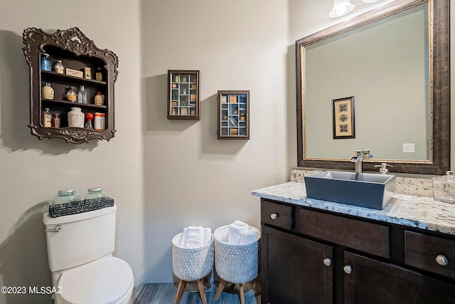 bathroom featuring large vanity and toilet