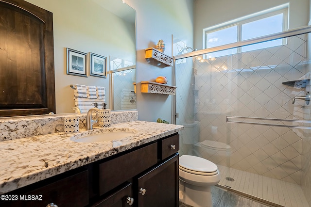 bathroom with toilet, large vanity, walk in shower, and wood-type flooring