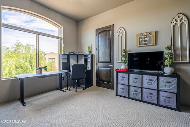 view of carpeted home office