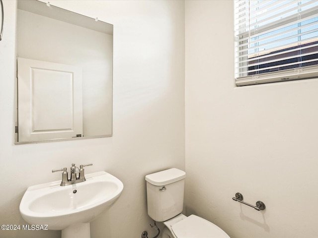 bathroom featuring sink and toilet