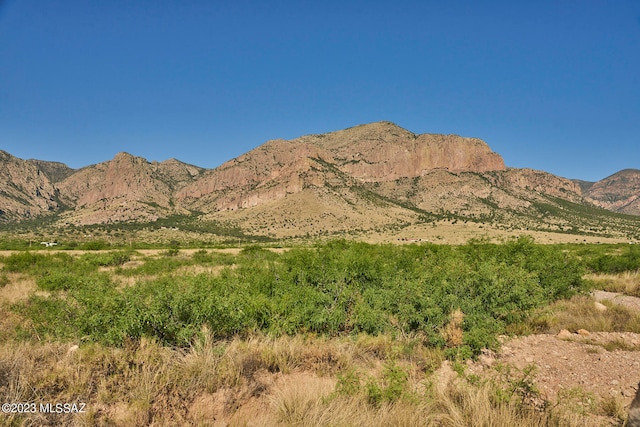 Listing photo 2 for 36.2ACRE Sulphur Canyon Rd Unit 21, Portal AZ 85632