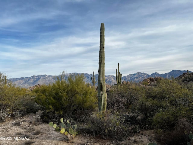 view of mountain feature