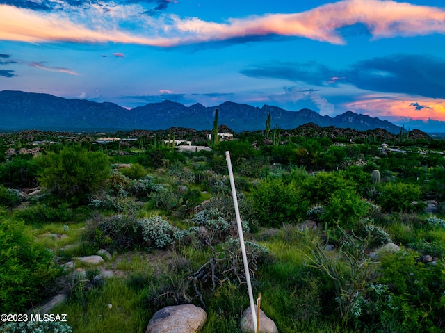 Listing photo 2 for 14971 N Slippery Ridge Loop Lot 476, Oro Valley AZ 85755