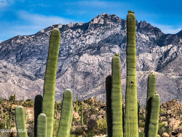 Listing photo 2 for 478 W Granite Gorge Dr Unit 562, Oro Valley AZ 85755