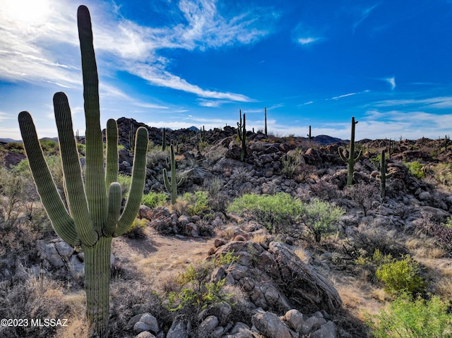 Listing photo 3 for 478 W Granite Gorge Dr Unit 562, Oro Valley AZ 85755