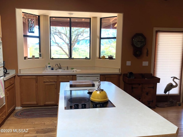 kitchen with white dishwasher, light wood-type flooring, sink, and black electric stovetop