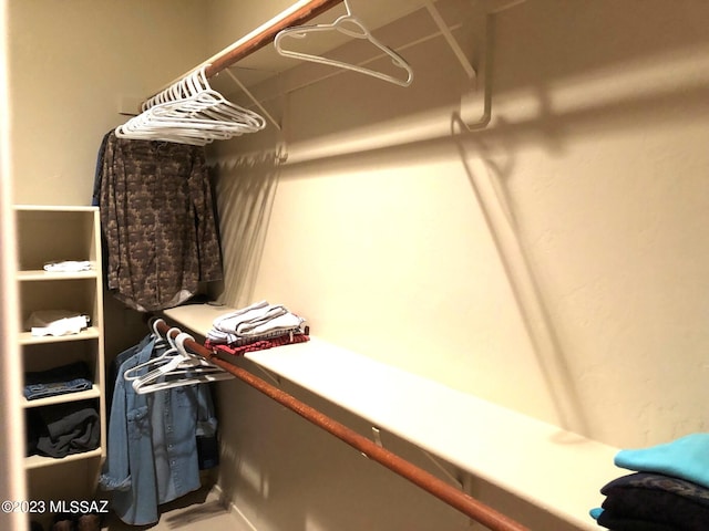 view of spacious closet