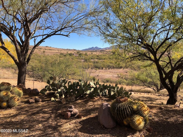 property view of mountains