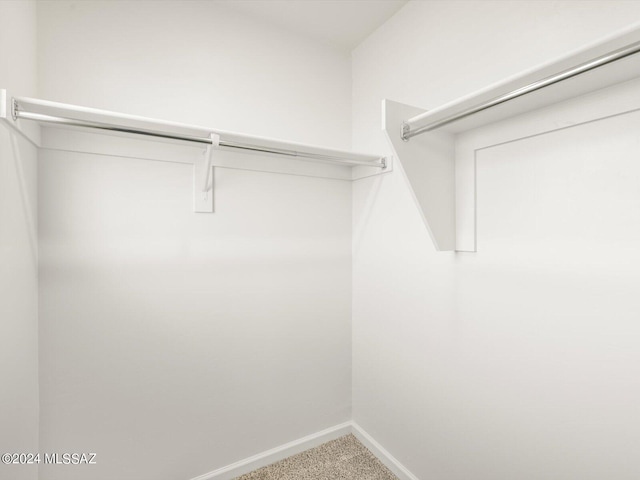spacious closet with carpet