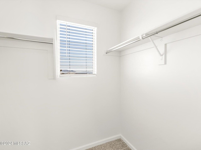 spacious closet featuring carpet