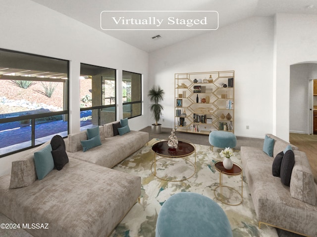 living room featuring vaulted ceiling and a wealth of natural light