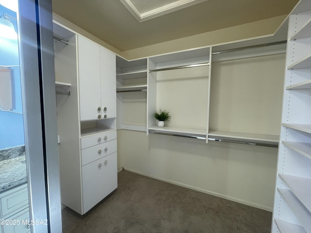 walk in closet with dark carpet