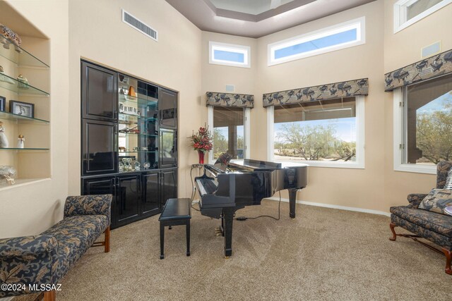 misc room with a towering ceiling, carpet flooring, and built in features