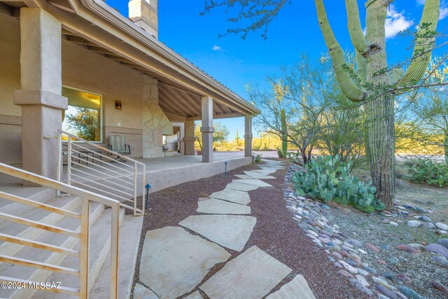 view of yard featuring a patio