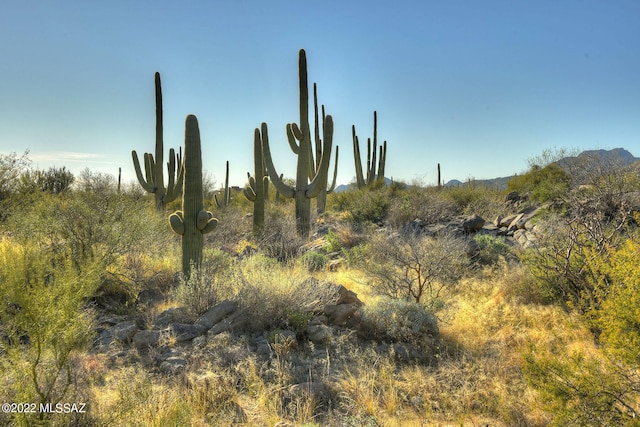 14451 N Giant Saguaro Pl Unit 32, Oro Valley AZ, 85755 land for sale