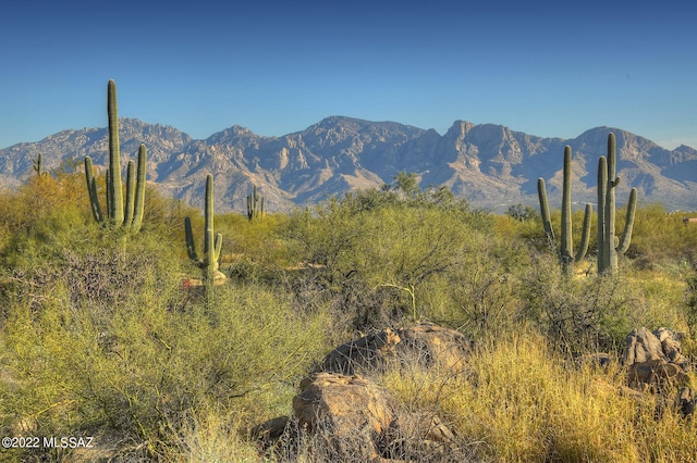 Listing photo 2 for 14451 N Giant Saguaro Pl Unit 32, Oro Valley AZ 85755