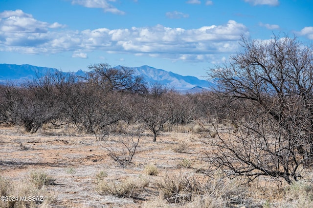 Listing photo 2 for 20ACRES Bumble Bee Ln -, Unit Pearce AZ 85625